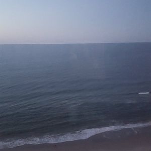 Meet your Posher, Curtis